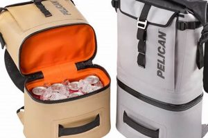 Best Small Backpack Cooler [Portable & Compact] | Ultimate Backpack Traveler Guide: Tips, Destinations & Budget Hacks