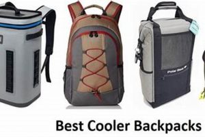 Top-Rated: Best Backpack Cooler [2024 Review] | Ultimate Backpack Traveler Guide: Tips, Destinations & Budget Hacks