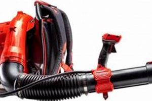 The Best Light Backpack Blower: Reviews & Tips Ultimate Backpack Traveler Guide: Tips, Destinations & Budget Hacks The Best Light Backpack Blower: Reviews & Tips | Ultimate Backpack Traveler Guide: Tips, Destinations & Budget Hacks