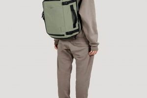 Best Bagsmart Blast Travel Backpack [Review] for Trips! | Ultimate Backpack Traveler Guide: Tips, Destinations & Budget Hacks