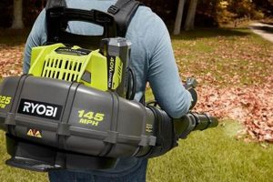 Best Backpack Blower Ryobi: Reviews & Buying Guide Ultimate Backpack Traveler Guide: Tips, Destinations & Budget Hacks Best Backpack Blower Ryobi: Reviews & Buying Guide | Ultimate Backpack Traveler Guide: Tips, Destinations & Budget Hacks