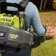 Best Backpack Blower Ryobi: Reviews &amp; Buying Guide | Ultimate Backpack Traveler Guide: Tips, Destinations & Budget Hacks