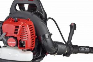 Craftsman 46cc Backpack Blower Parts: Repair & Maintenance Ultimate Backpack Traveler Guide: Tips, Destinations & Budget Hacks Craftsman 46cc Backpack Blower Parts: Repair & Maintenance | Ultimate Backpack Traveler Guide: Tips, Destinations & Budget Hacks
