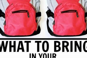 Disney Backpacks: Can You Take a Backpack Into Disney World? Tips & Rules Ultimate Backpack Traveler Guide: Tips, Destinations & Budget Hacks Disney Backpacks: Can You Take a Backpack Into Disney World? Tips & Rules | Ultimate Backpack Traveler Guide: Tips, Destinations & Budget Hacks