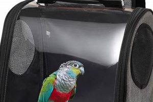 Best Bird Backpack Carrier: Travel Safely & Comfort! Ultimate Backpack Traveler Guide: Tips, Destinations & Budget Hacks Best Bird Backpack Carrier: Travel Safely & Comfort! | Ultimate Backpack Traveler Guide: Tips, Destinations & Budget Hacks