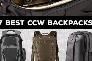 Best Conceal Carry Backpack: Discreet & Secure [Guide] | Ultimate Backpack Traveler Guide: Tips, Destinations & Budget Hacks