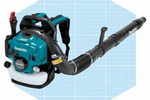 Best Four Stroke Backpack Blower: Reviews & Guide 2024 Ultimate Backpack Traveler Guide: Tips, Destinations & Budget Hacks Best Four Stroke Backpack Blower: Reviews & Guide 2024 | Ultimate Backpack Traveler Guide: Tips, Destinations & Budget Hacks