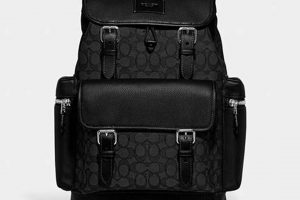 Best Coach Sprint Backpack: [Your Brand] Edition | Ultimate Backpack Traveler Guide: Tips, Destinations & Budget Hacks