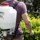 Buy Best Backpack Sprayer for Mosquitoes Now! | Ultimate Backpack Traveler Guide: Tips, Destinations & Budget Hacks