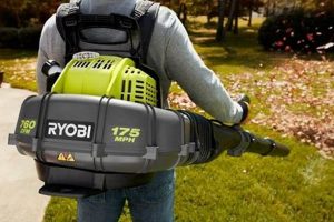 Best Ryobi Leaf Blower Backpack: Reviews & Guide Ultimate Backpack Traveler Guide: Tips, Destinations & Budget Hacks Best Ryobi Leaf Blower Backpack: Reviews & Guide | Ultimate Backpack Traveler Guide: Tips, Destinations & Budget Hacks