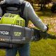 Best Ryobi Leaf Blower Backpack: Reviews &amp; Guide | Ultimate Backpack Traveler Guide: Tips, Destinations & Budget Hacks