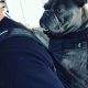Ultimate French Bulldog Backpack Carrier Guide | Ultimate Backpack Traveler Guide: Tips, Destinations & Budget Hacks