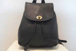 Chic Black Backpack Purse: Style & Function! Ultimate Backpack Traveler Guide: Tips, Destinations & Budget Hacks Chic Black Backpack Purse: Style & Function! | Ultimate Backpack Traveler Guide: Tips, Destinations & Budget Hacks