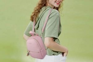 Best Small Backpack Crossbody Bags for Travel [2024] | Ultimate Backpack Traveler Guide: Tips, Destinations & Budget Hacks