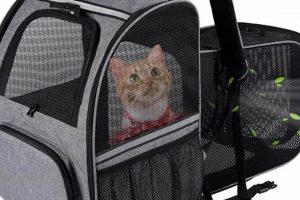 Best Cat Hiking Backpack: Adventure Carrier Guide Ultimate Backpack Traveler Guide: Tips, Destinations & Budget Hacks Best Cat Hiking Backpack: Adventure Carrier Guide | Ultimate Backpack Traveler Guide: Tips, Destinations & Budget Hacks