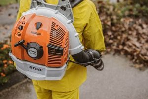 Unleash Power: Stihl BR600 Backpack Blower + Expert Tips Ultimate Backpack Traveler Guide: Tips, Destinations & Budget Hacks Unleash Power: Stihl BR600 Backpack Blower + Expert Tips | Ultimate Backpack Traveler Guide: Tips, Destinations & Budget Hacks