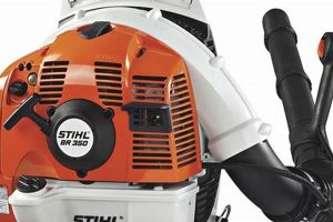 The Ultimate Gas Stihl Backpack Blower Guide: Reviews & Tips Ultimate Backpack Traveler Guide: Tips, Destinations & Budget Hacks The Ultimate Gas Stihl Backpack Blower Guide: Reviews & Tips | Ultimate Backpack Traveler Guide: Tips, Destinations & Budget Hacks