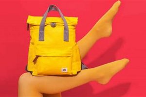 The Best Ori Backpack [Gear Guide] | Ultimate Backpack Traveler Guide: Tips, Destinations & Budget Hacks