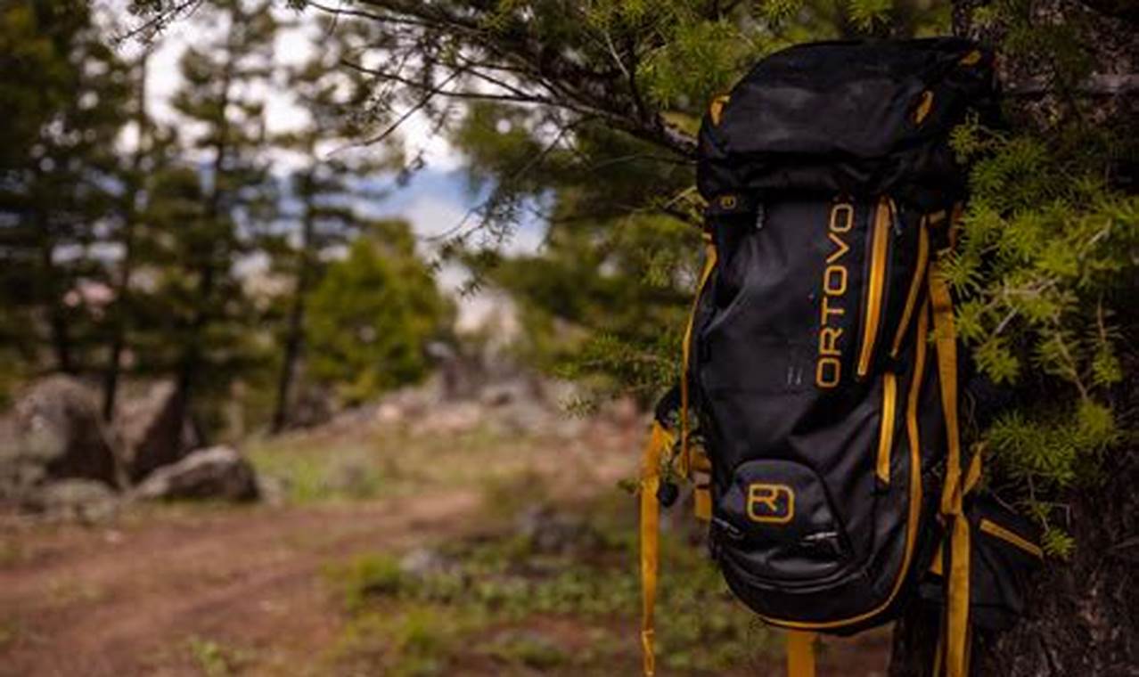 Gear Up: The Best Backpack Survival Kit Essentials (2024) Ultimate Backpack Traveler Guide: Tips, Destinations & Budget Hacks Gear Up: The Best Backpack Survival Kit Essentials (2024) | Ultimate Backpack Traveler Guide: Tips, Destinations & Budget Hacks