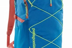 Easy Guide: How to Clean a Patagonia Backpack - Tips & Tricks Ultimate Backpack Traveler Guide: Tips, Destinations & Budget Hacks Easy Guide: How to Clean a Patagonia Backpack - Tips & Tricks | Ultimate Backpack Traveler Guide: Tips, Destinations & Budget Hacks
