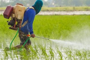 Best Backpack Pesticide Sprayer: Reviews & Guide Ultimate Backpack Traveler Guide: Tips, Destinations & Budget Hacks Best Backpack Pesticide Sprayer: Reviews & Guide | Ultimate Backpack Traveler Guide: Tips, Destinations & Budget Hacks
