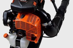 Top-Rated Best Backpack Blower 2024: [Brand] vs [Brand] | Ultimate Backpack Traveler Guide: Tips, Destinations & Budget Hacks