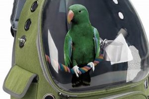 Top Bird Backpacks: Travel in Style & Comfort Ultimate Backpack Traveler Guide: Tips, Destinations & Budget Hacks Top Bird Backpacks: Travel in Style & Comfort | Ultimate Backpack Traveler Guide: Tips, Destinations & Budget Hacks