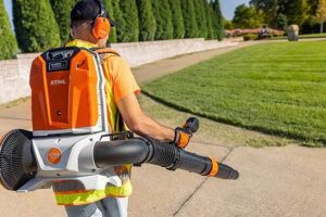 Why Stihl Battery Backpack Blowers? [Review + Guide] | Ultimate Backpack Traveler Guide: Tips, Destinations & Budget Hacks