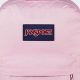 JanSport's Pink Ice Backpack: Style & Durability | Ultimate Backpack Traveler Guide: Tips, Destinations & Budget Hacks