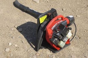 Homelite Backpack Blower: Power & Performance Today! Ultimate Backpack Traveler Guide: Tips, Destinations & Budget Hacks Homelite Backpack Blower: Power & Performance Today! | Ultimate Backpack Traveler Guide: Tips, Destinations & Budget Hacks