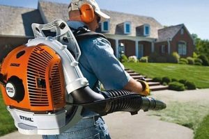 Echo VS Stihl Backpack Blower: Which Blower Wins? Ultimate Backpack Traveler Guide: Tips, Destinations & Budget Hacks Echo VS Stihl Backpack Blower: Which Blower Wins? | Ultimate Backpack Traveler Guide: Tips, Destinations & Budget Hacks