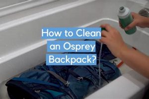 Osprey Care: How to Clean Your Backpack + Tips Ultimate Backpack Traveler Guide: Tips, Destinations & Budget Hacks Osprey Care: How to Clean Your Backpack + Tips | Ultimate Backpack Traveler Guide: Tips, Destinations & Budget Hacks