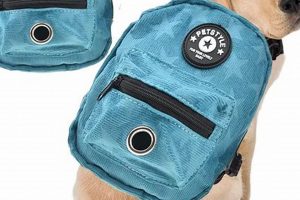 The Ultimate Dog Backpack with Harness for Adventurers! Ultimate Backpack Traveler Guide: Tips, Destinations & Budget Hacks The Ultimate Dog Backpack with Harness for Adventurers! | Ultimate Backpack Traveler Guide: Tips, Destinations & Budget Hacks