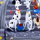 Magical Disney Dog Backpack: Carry Your Pup in Style! | Ultimate Backpack Traveler Guide: Tips, Destinations & Budget Hacks