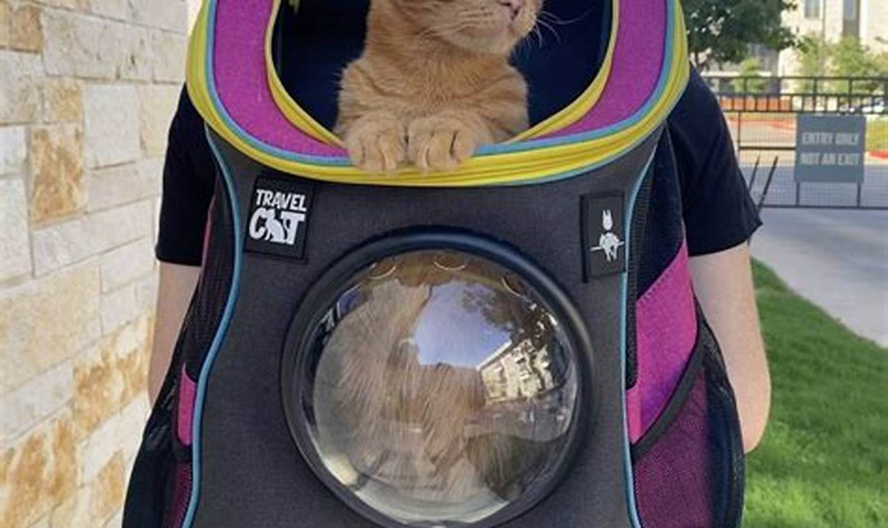 Best Travel Cat Backpacks: Your Ultimate Guide Ultimate Backpack Traveler Guide: Tips, Destinations & Budget Hacks Best Travel Cat Backpacks: Your Ultimate Guide | Ultimate Backpack Traveler Guide: Tips, Destinations & Budget Hacks