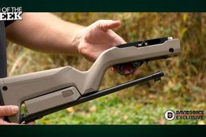 Ultimate 10/22 Backpacker Guide: Build the Perfect Pack Rifle Ultimate Backpack Traveler Guide: Tips, Destinations & Budget Hacks Ultimate 10/22 Backpacker Guide: Build the Perfect Pack Rifle | Ultimate Backpack Traveler Guide: Tips, Destinations & Budget Hacks