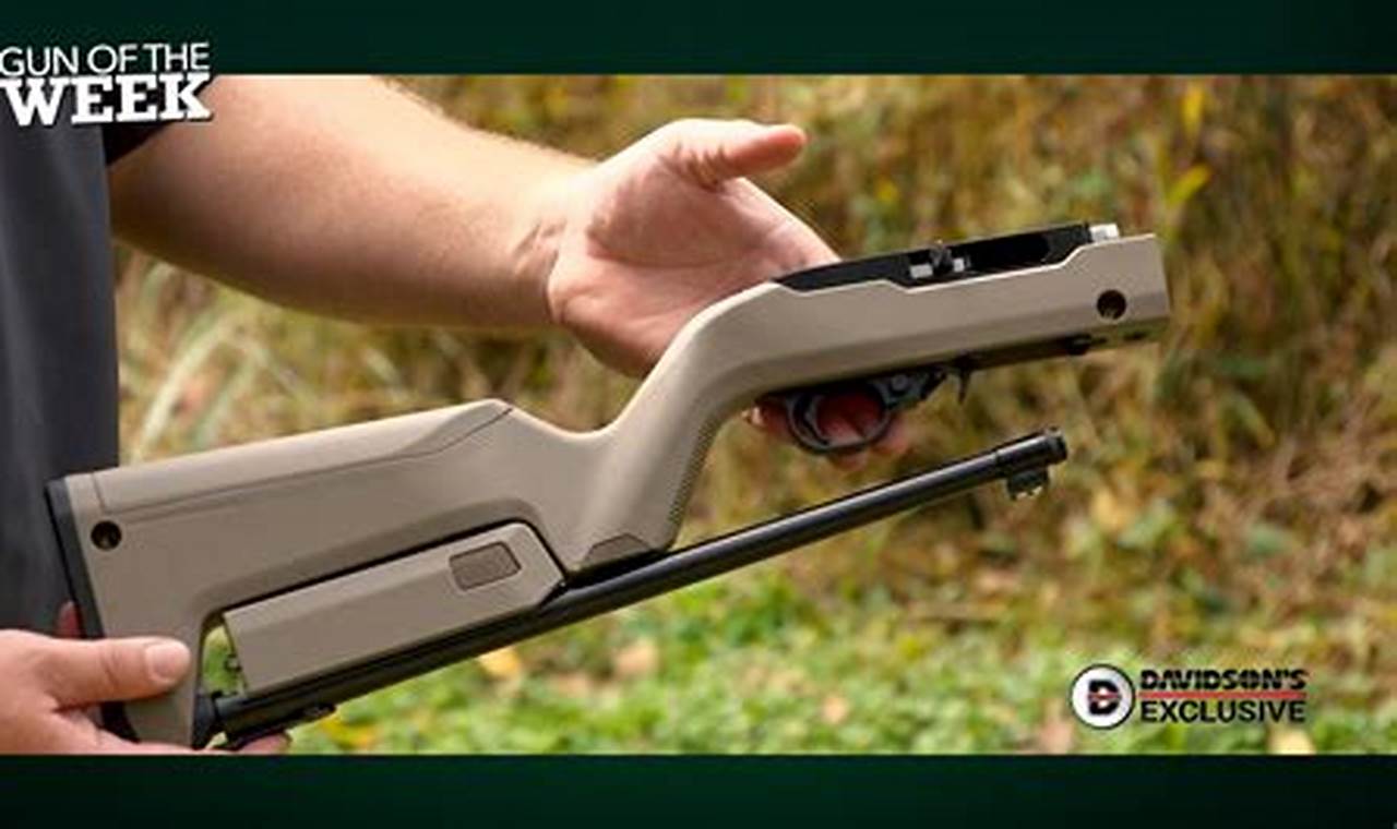Ultimate 10/22 Backpacker Guide: Build the Perfect Pack Rifle Ultimate Backpack Traveler Guide: Tips, Destinations & Budget Hacks Ultimate 10/22 Backpacker Guide: Build the Perfect Pack Rifle | Ultimate Backpack Traveler Guide: Tips, Destinations & Budget Hacks