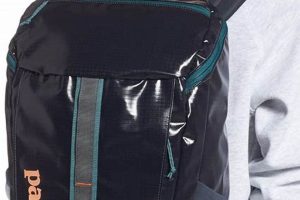 Review: Best Patagonia Black Hole 25L Backpack for You? Ultimate Backpack Traveler Guide: Tips, Destinations & Budget Hacks Review: Best Patagonia Black Hole 25L Backpack for You? | Ultimate Backpack Traveler Guide: Tips, Destinations & Budget Hacks