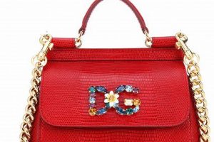 Luxury Dolce & Gabbana Backpack: Style for the Backpacker Ultimate Backpack Traveler Guide: Tips, Destinations & Budget Hacks Luxury Dolce & Gabbana Backpack: Style for the Backpacker | Ultimate Backpack Traveler Guide: Tips, Destinations & Budget Hacks