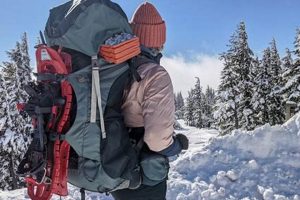 Essential Backcountry Backpack Guide for Wilderness Hikes Ultimate Backpack Traveler Guide: Tips, Destinations & Budget Hacks Essential Backcountry Backpack Guide for Wilderness Hikes | Ultimate Backpack Traveler Guide: Tips, Destinations & Budget Hacks