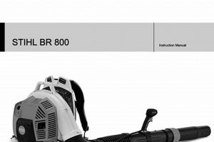 Stihl Backpack Blower Parts: Find & Fix + Tips Ultimate Backpack Traveler Guide: Tips, Destinations & Budget Hacks Stihl Backpack Blower Parts: Find & Fix + Tips | Ultimate Backpack Traveler Guide: Tips, Destinations & Budget Hacks