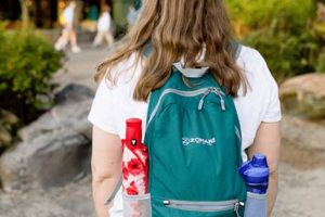 Disney Backpacks: Can I Take a Backpack Into Disney World? Guide Ultimate Backpack Traveler Guide: Tips, Destinations & Budget Hacks Disney Backpacks: Can I Take a Backpack Into Disney World? Guide | Ultimate Backpack Traveler Guide: Tips, Destinations & Budget Hacks