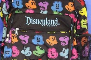 Best Disneyland Backpack Guide: Tips & More! Ultimate Backpack Traveler Guide: Tips, Destinations & Budget Hacks Best Disneyland Backpack Guide: Tips & More! | Ultimate Backpack Traveler Guide: Tips, Destinations & Budget Hacks