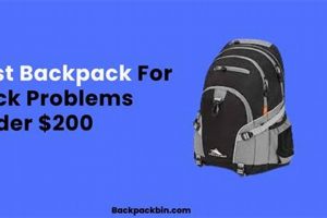 Top-Rated: Best Backpack for Back Problems Relief [Guide] | Ultimate Backpack Traveler Guide: Tips, Destinations & Budget Hacks