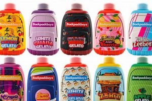 Find a Backpack Boyz Dispo Near You: [City/State] Guide | Ultimate Backpack Traveler Guide: Tips, Destinations & Budget Hacks