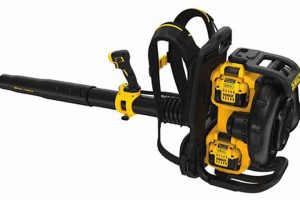 Best DeWalt Backpack Blower: Reviews & Comparison | Ultimate Backpack Traveler Guide: Tips, Destinations & Budget Hacks