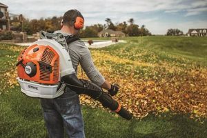 Top Biggest Backpack Blower: Power & Reviews Ultimate Backpack Traveler Guide: Tips, Destinations & Budget Hacks Top Biggest Backpack Blower: Power & Reviews | Ultimate Backpack Traveler Guide: Tips, Destinations & Budget Hacks