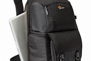 Best Lowepro Backpack Camera Bag [For Travel & Pro] | Ultimate Backpack Traveler Guide: Tips, Destinations & Budget Hacks