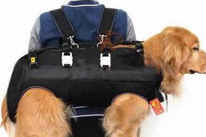 Best Dog Carrier Backpacks for 25 lbs Dogs: Comfort & Safety! Ultimate Backpack Traveler Guide: Tips, Destinations & Budget Hacks Best Dog Carrier Backpacks for 25 lbs Dogs: Comfort & Safety! | Ultimate Backpack Traveler Guide: Tips, Destinations & Budget Hacks