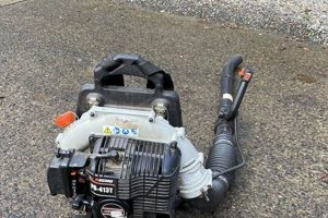 Best Used Backpack Blowers: Deals & Expert Advice Ultimate Backpack Traveler Guide: Tips, Destinations & Budget Hacks Best Used Backpack Blowers: Deals & Expert Advice | Ultimate Backpack Traveler Guide: Tips, Destinations & Budget Hacks